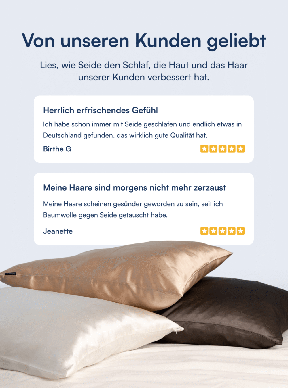 100% Maulbeer-Seide Kissenbezug (OEKO-TEX) Beige